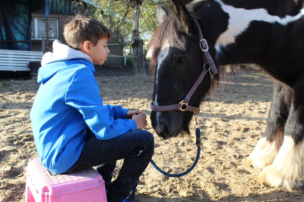 Het paard als spiegel